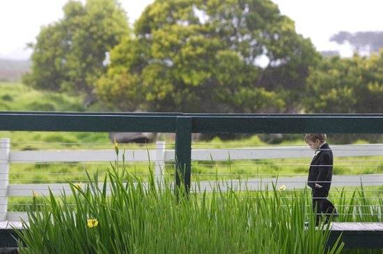 The ring bearer makes his way to the ceremony at Carmel Valley Ranch.