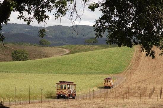 Cable Car Trolleys full of wedding guest make their way up to Boot Hill at Kunde Estates for the dinner reception.