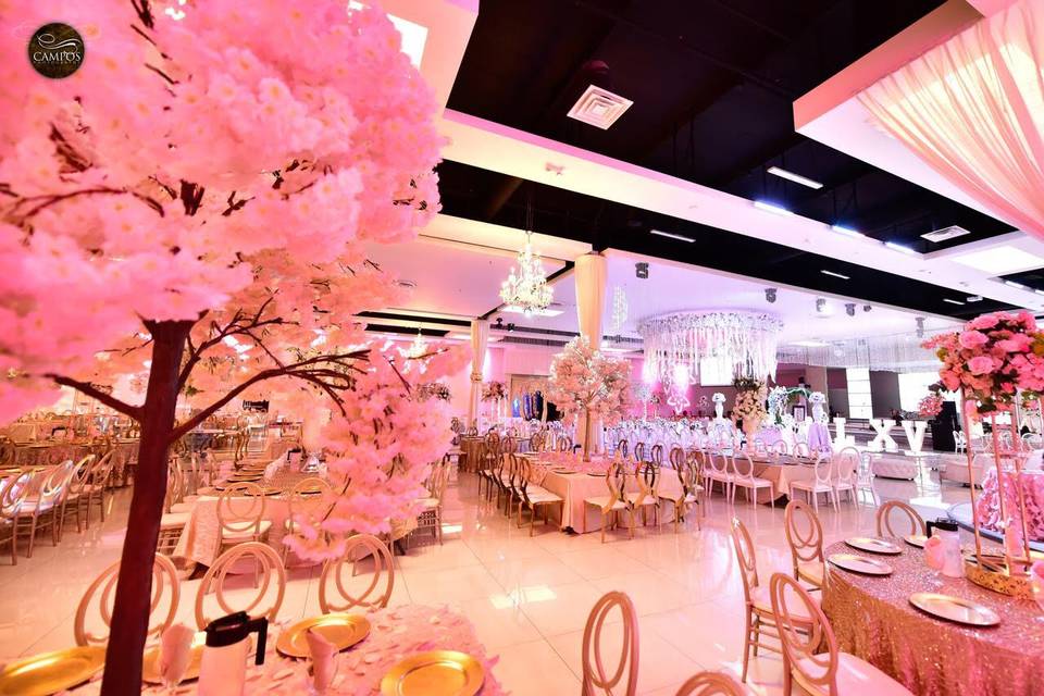 Ballroom Pretty in Pink