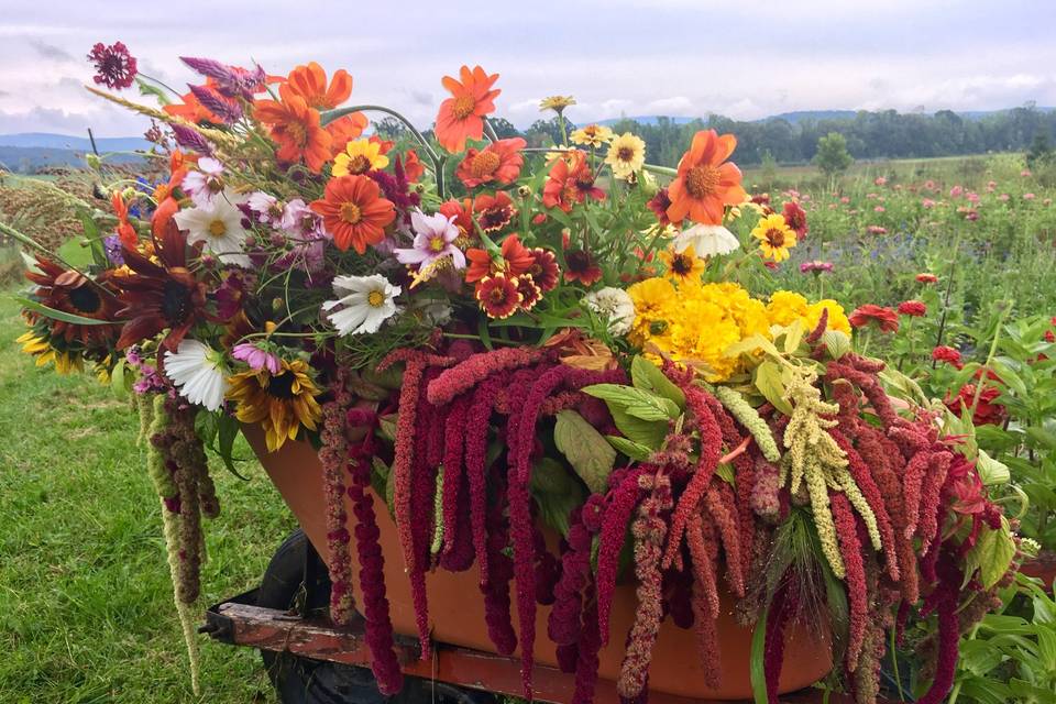 Flower Power VT Farm