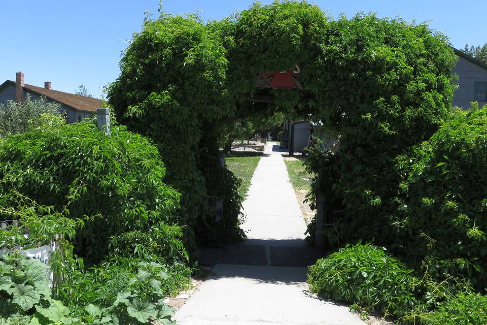 Green Archway above Path