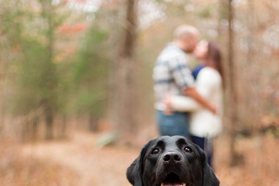 Kylene Ann PhotographyEngagementAnimal Friendly