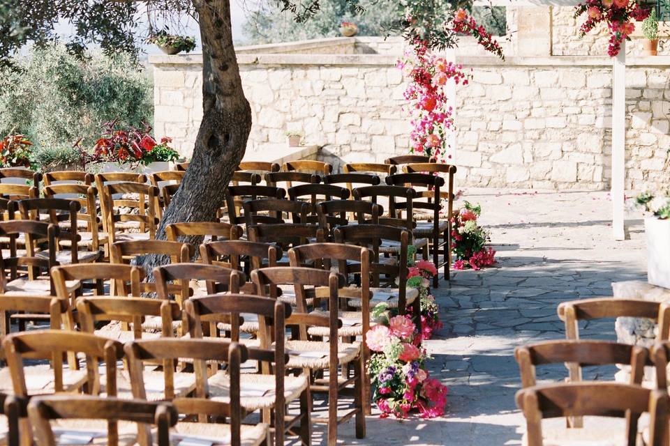 Olive Grove Wedding