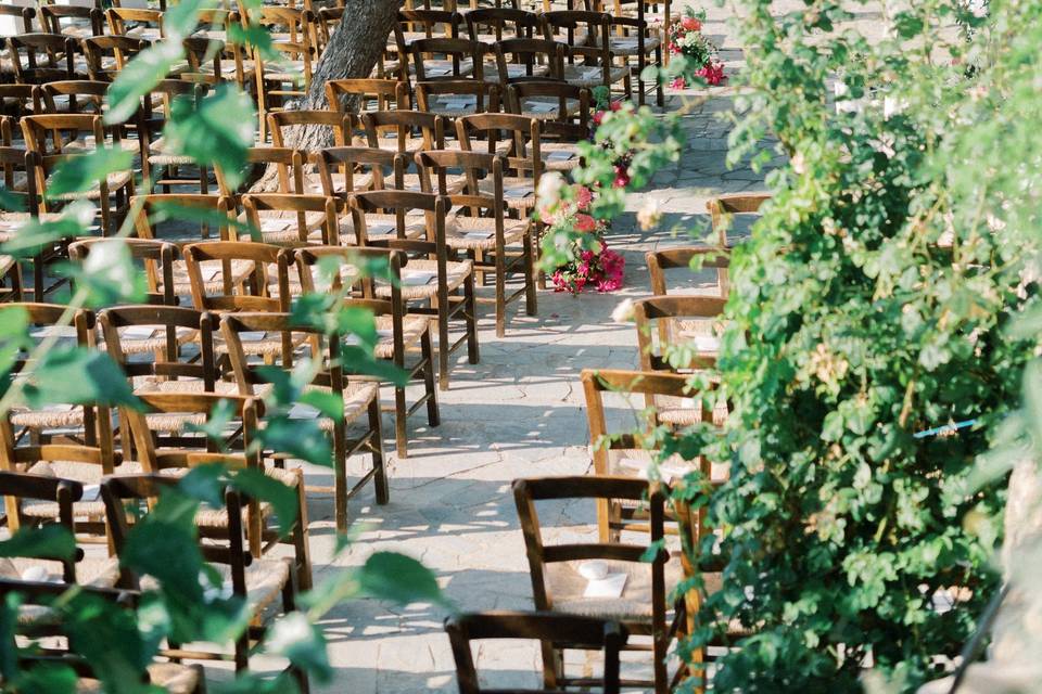 Olive Grove Ceremony