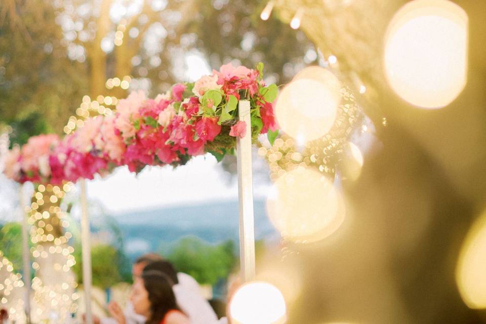 Fairy Lights and String Lights