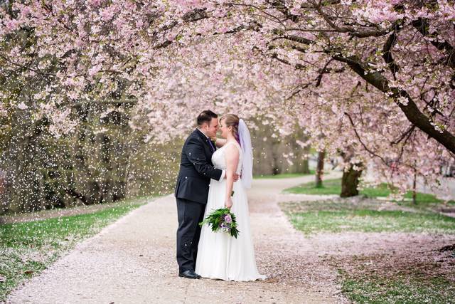Rocheste ny highland park wedd