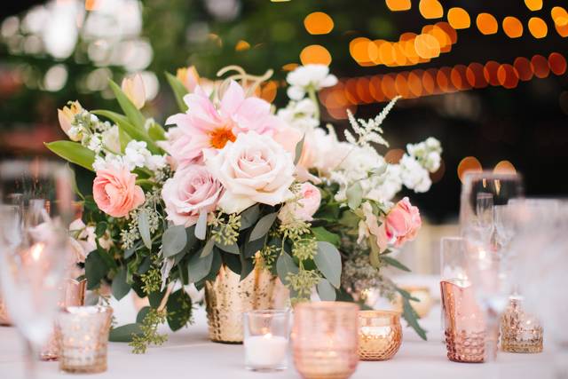 Stephanie Uchima Events