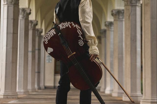 Lovejack - singer and cello