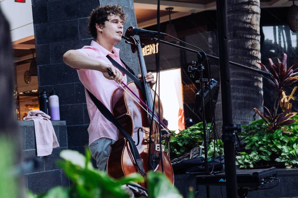 Lovejack - singer and cello