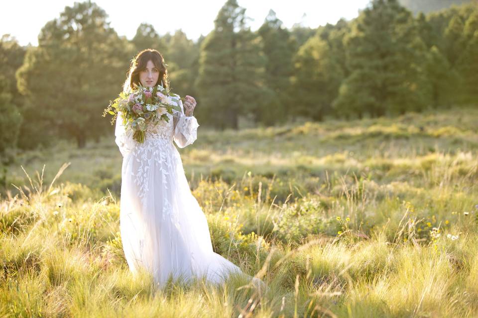 Flagstaff Forest Wedding