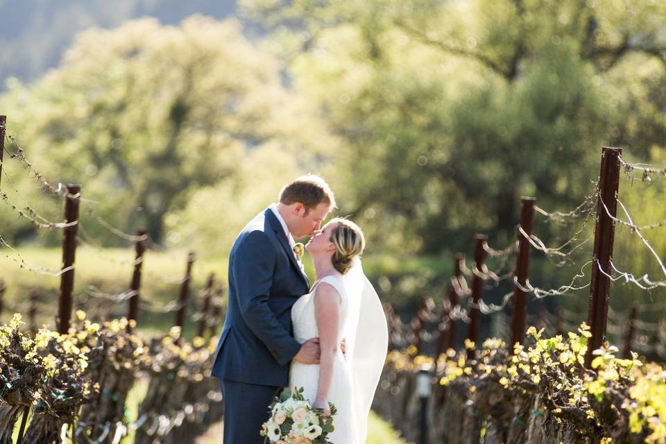 Intimate Weddings Napa Valley