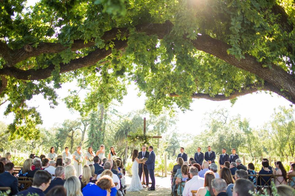 Ceremony under old oak