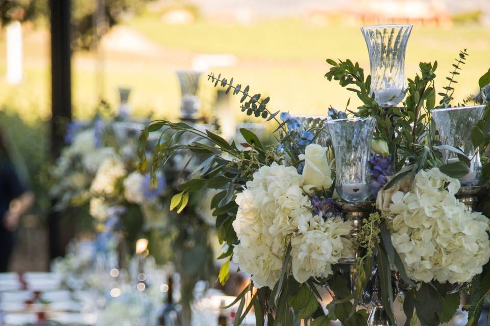 Dining by the vines