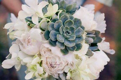 Succulents and roses