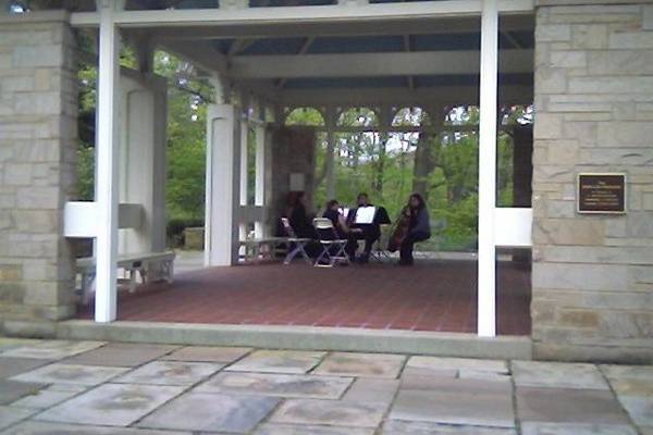 The Harmony Strings Quartet played under the Kidston Pavillion for Holly and Jimmy's wedding.