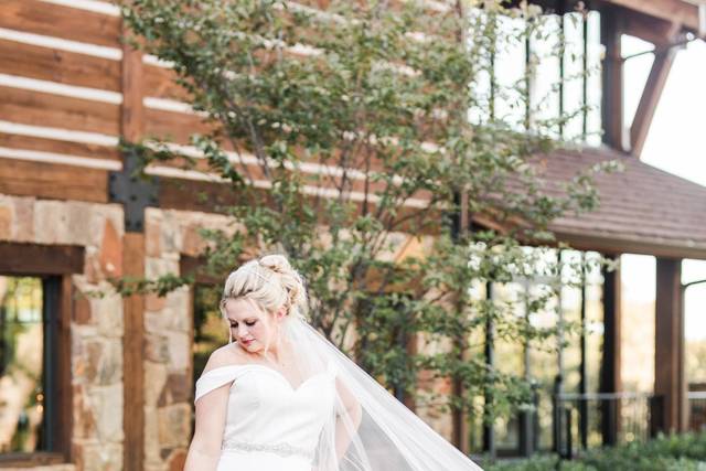 A flowing veil - Moni Lynn Images