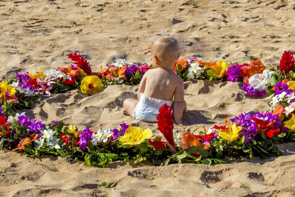 Flowers on the beach