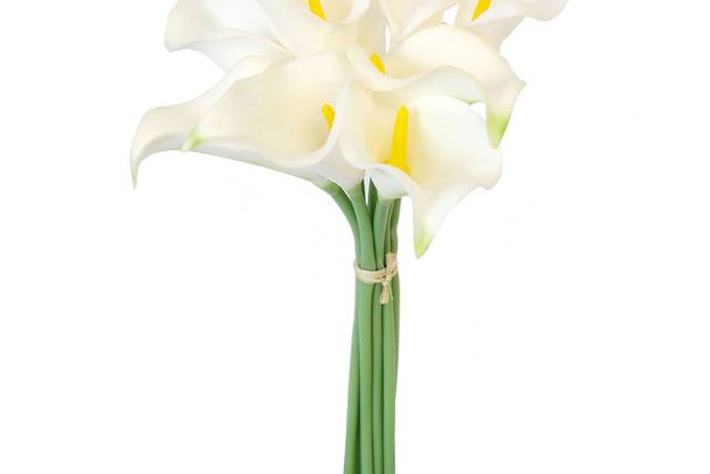 Calla lilies