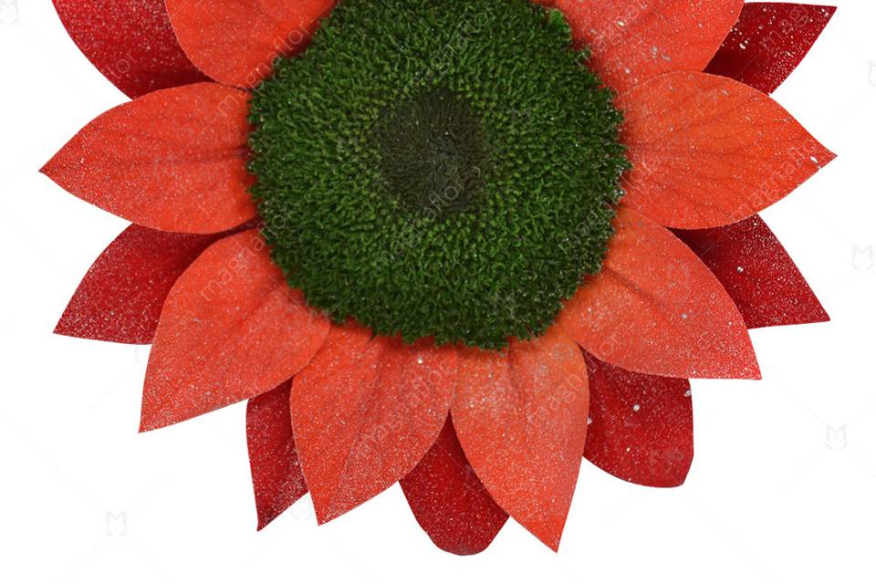 Red glitter sunflowerpreserved