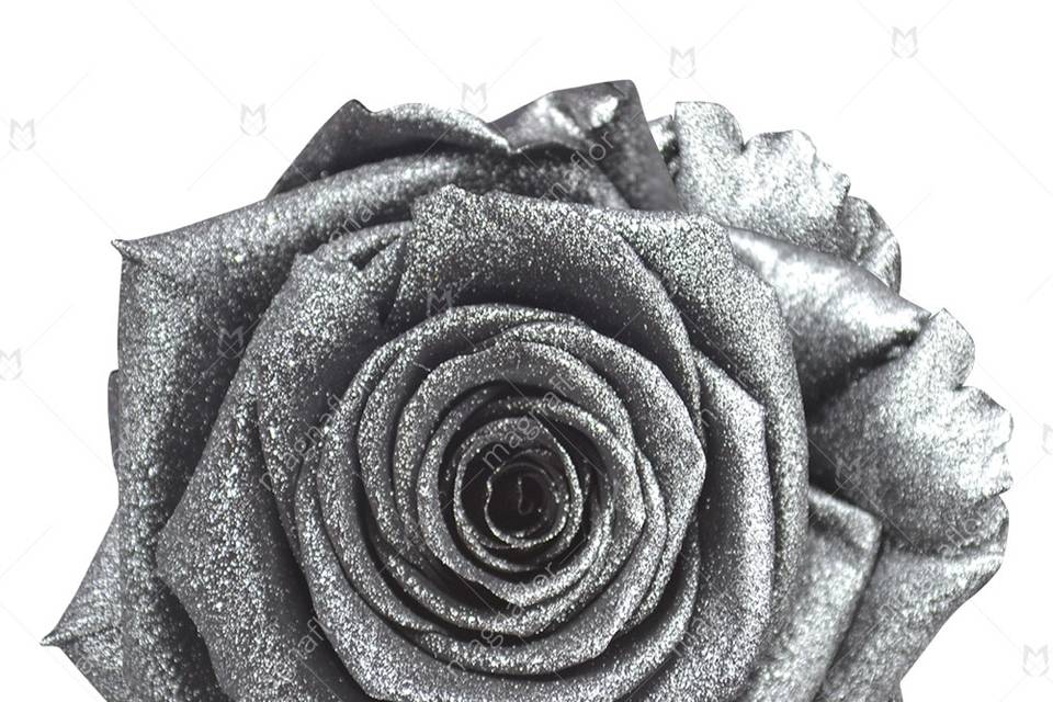Silver glitter preserved rose