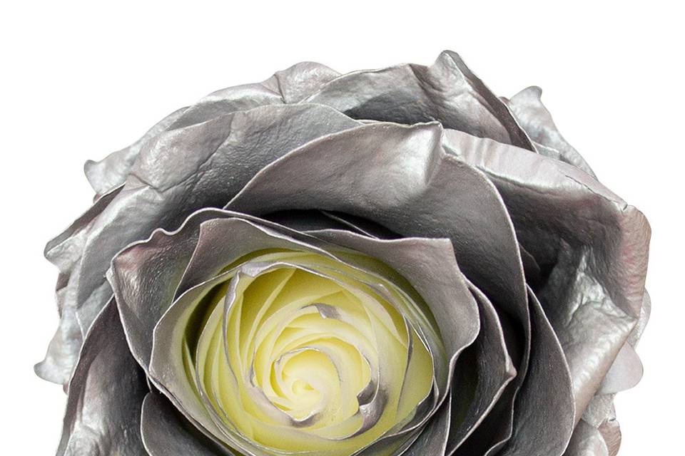 Silver airbrushed roses