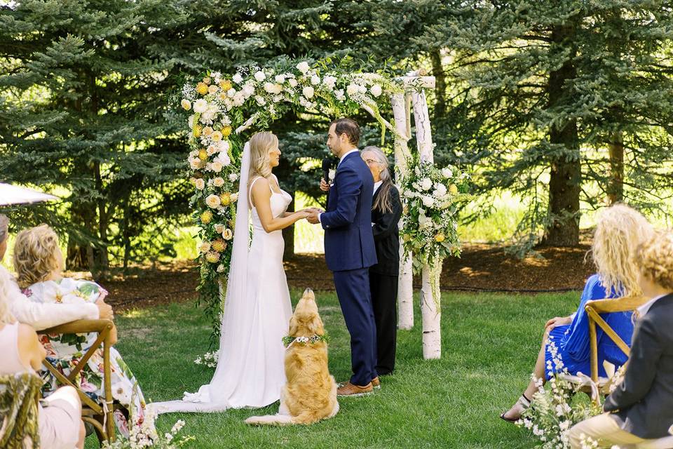 Ceremony vows with dog