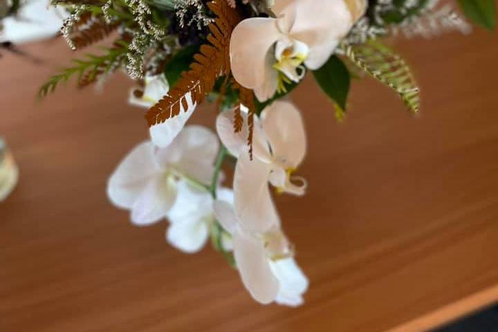 Mayfly Flowers