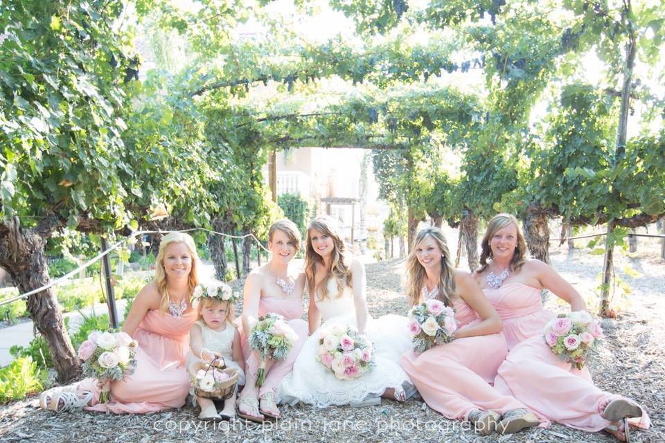 Wilson Creek Winery wedding with beautiful pale pink garden roses and white hydrangeas