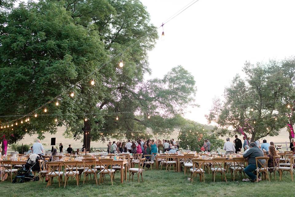 String Light Reception Magic