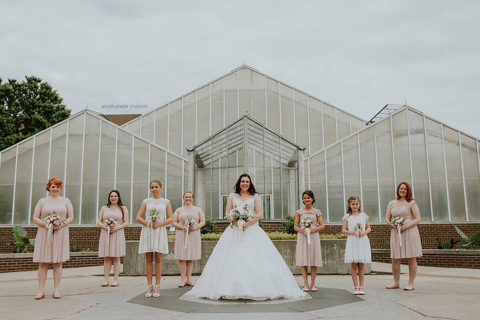 The bride and bridesmaids