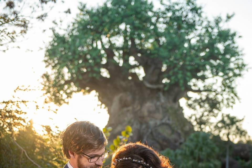 Disney Wedding Hair Makeup