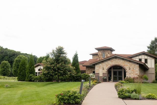 Belle Ame Vineyard