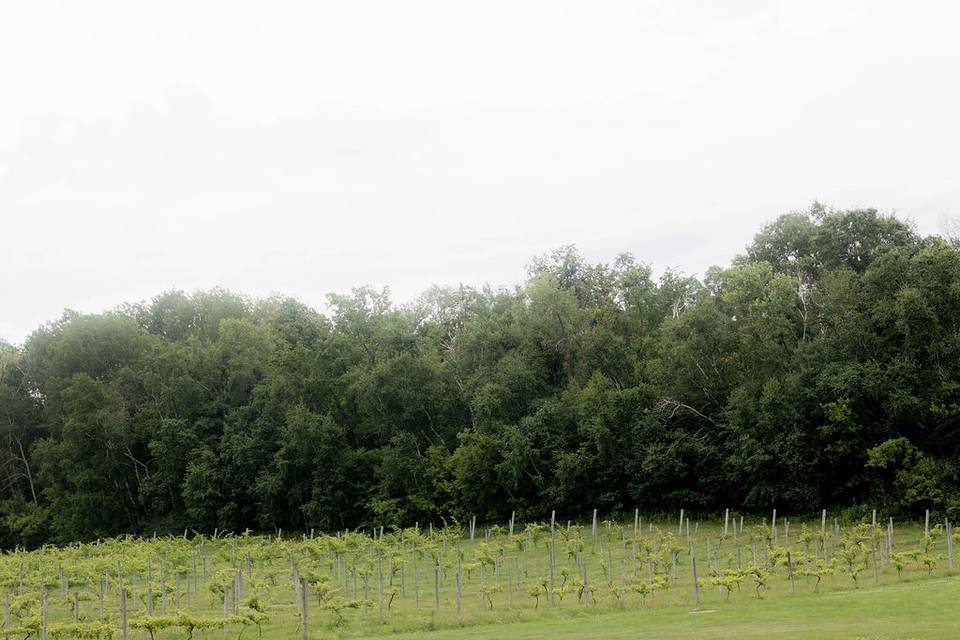 Vineyard Views WI
