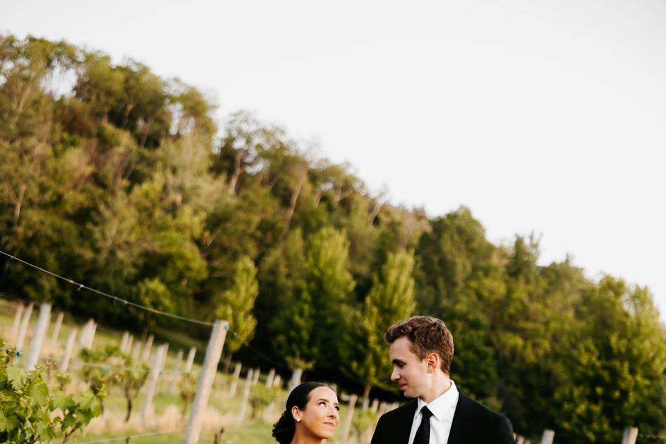 Engagement in the Vineyard