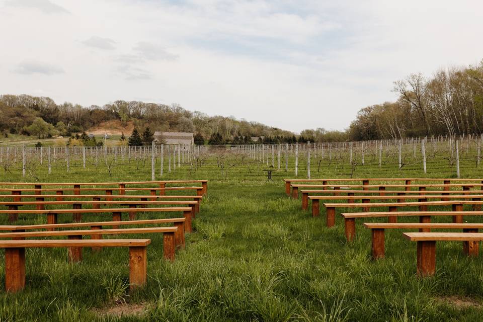 Vineyard wedding benches