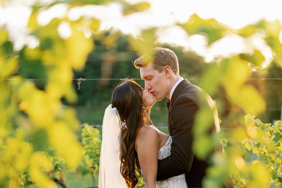 Bride + Groom In Vines