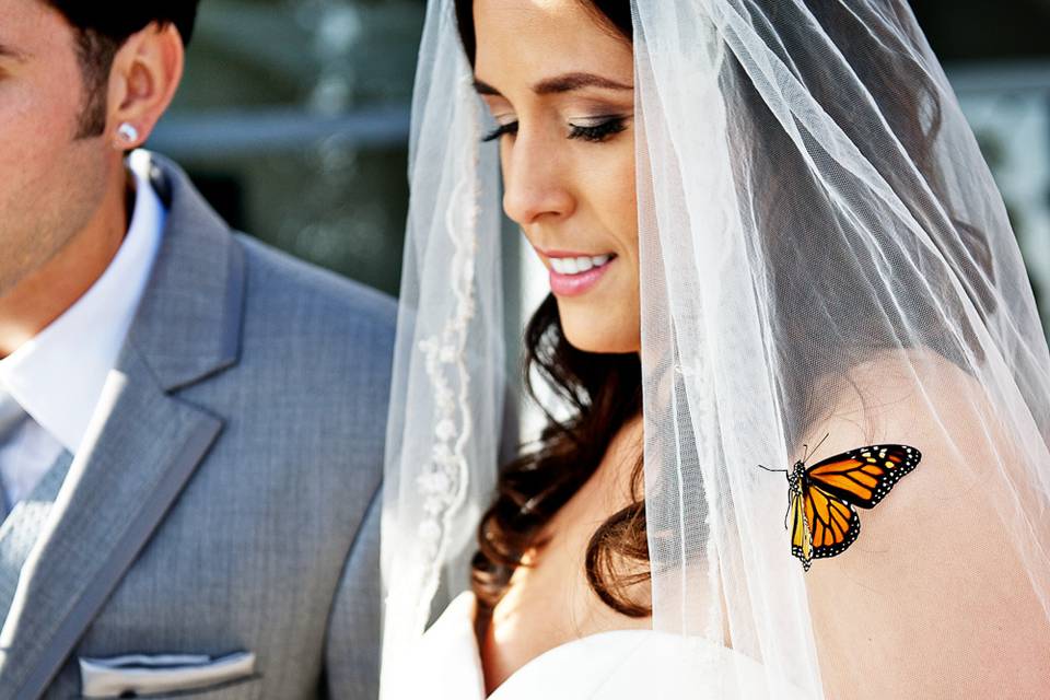 San Diego's Top Wedding Photos