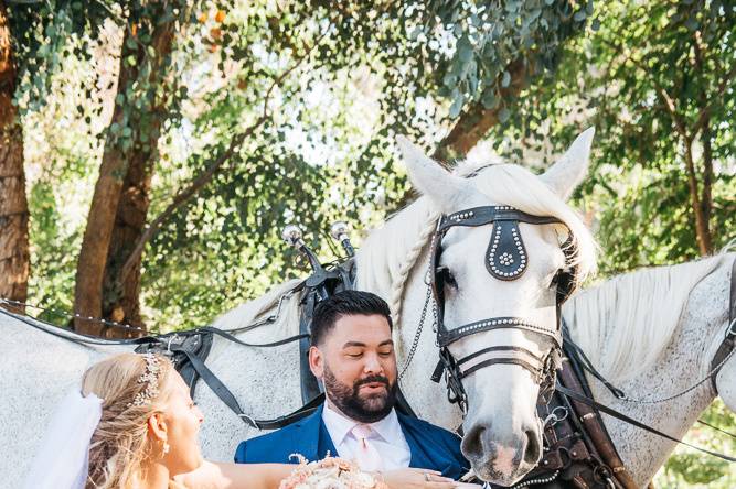 San Diego's Top Wedding Photos
