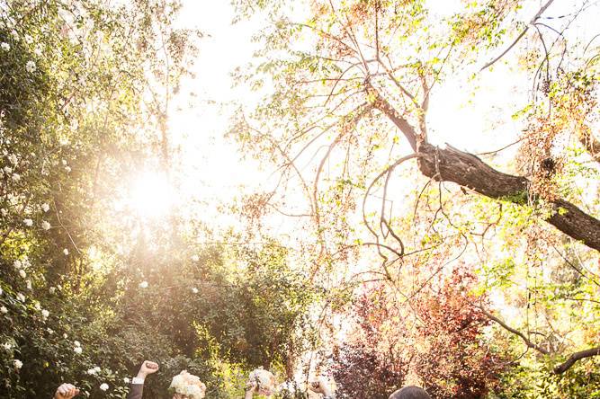 San Diego's Top Wedding Photos