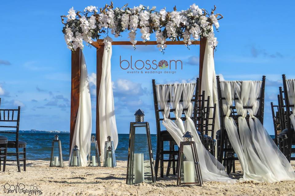 Blossom Events & Wedding Design