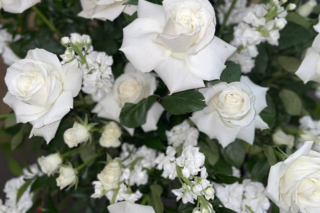 Pedestal Arrangement