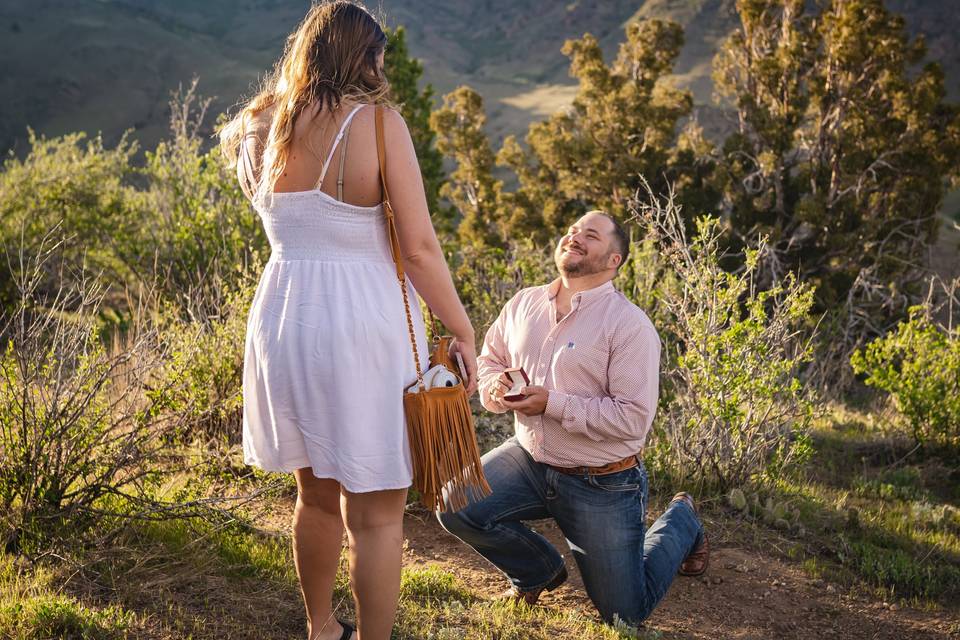 Suprise Proposal