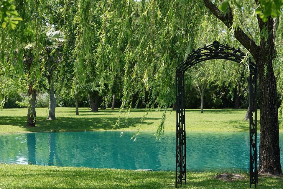 Arbor by weeping willow