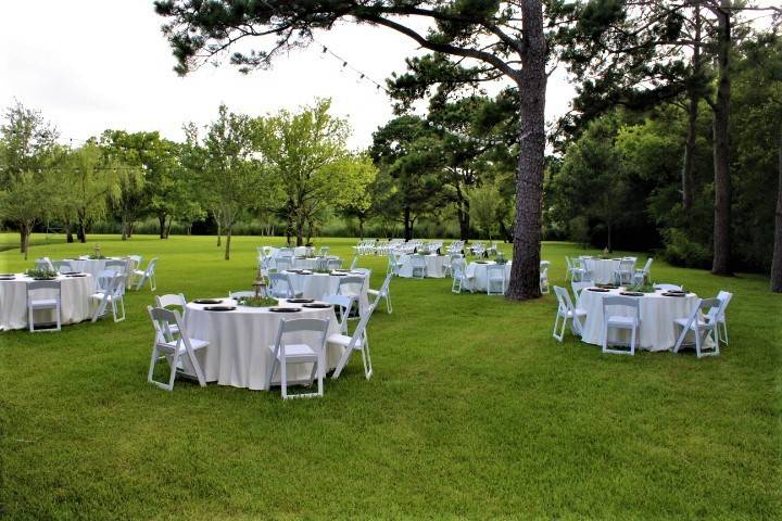 Outdoor Reception