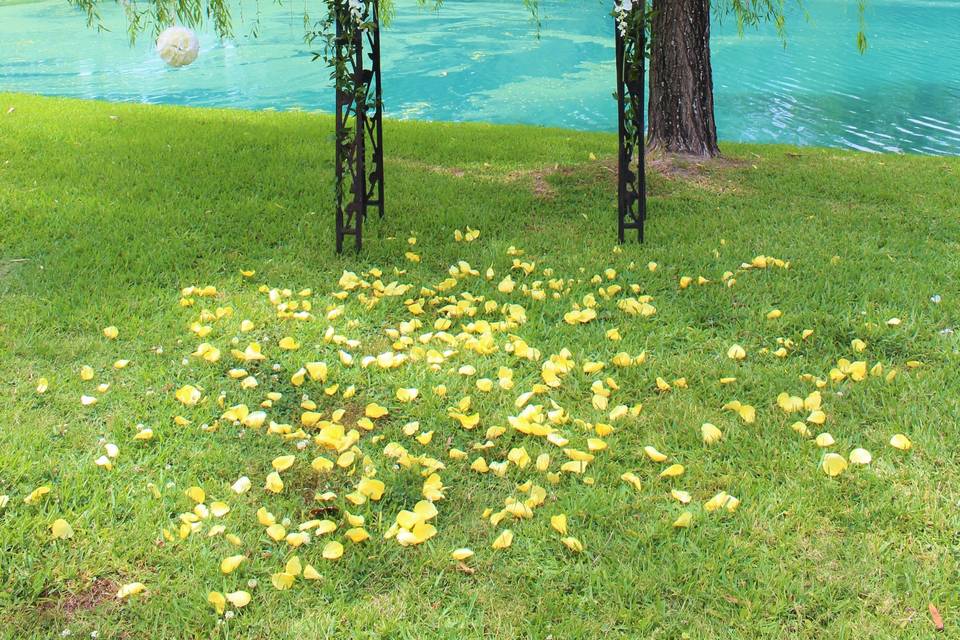 Small Arbor under Willow