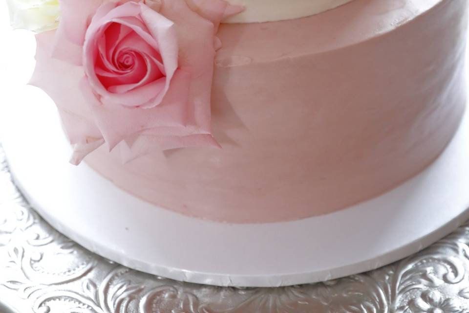 Blush Fairytale