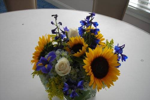 Cape Cod wedding