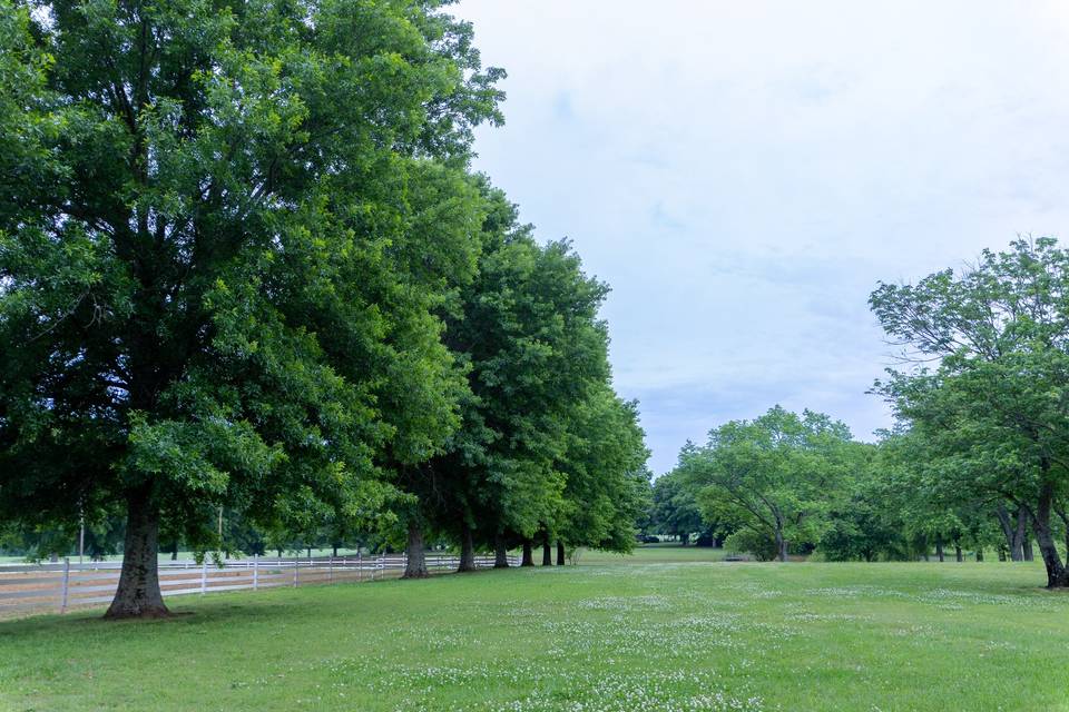 Outdoor space