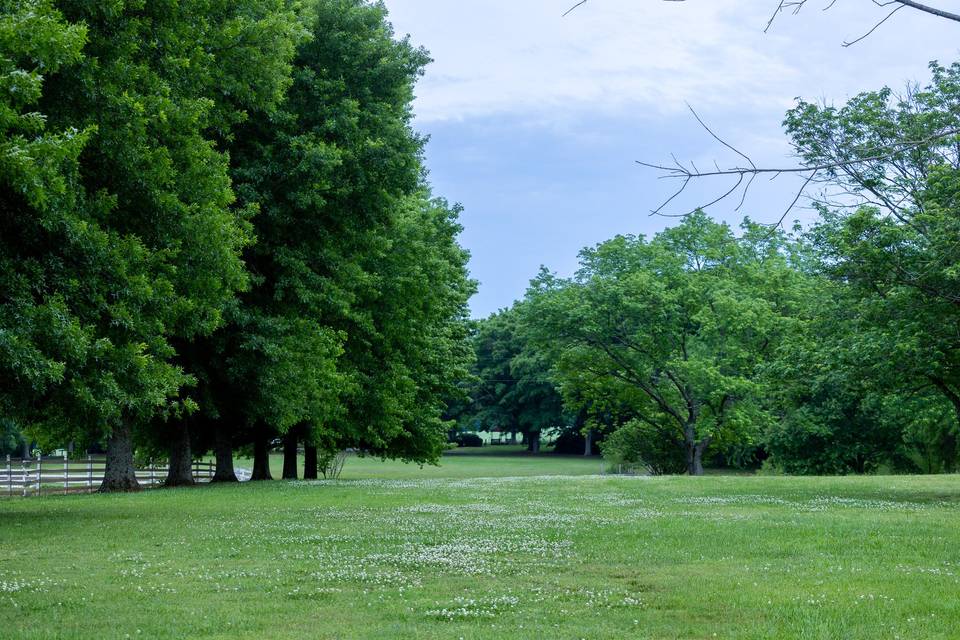 Outdoor space