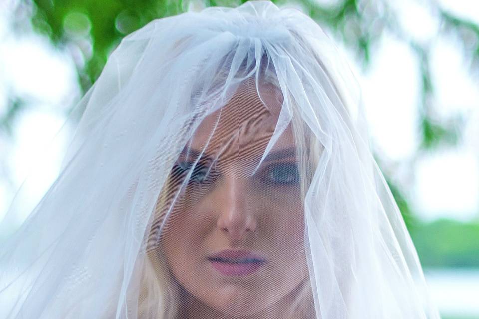 Bride with veil